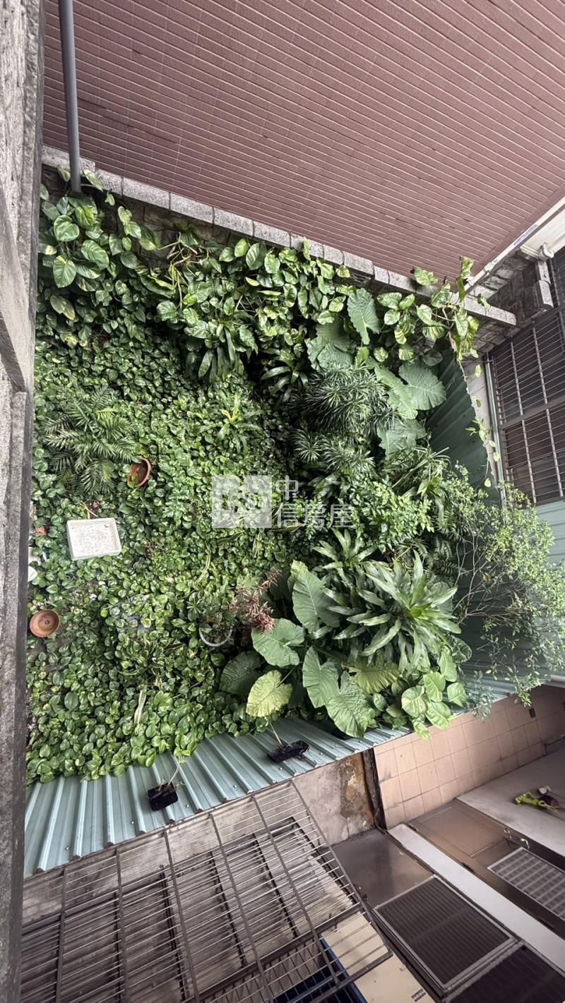 義興國小育達商圈大地坪美透天房屋室內格局與周邊環境