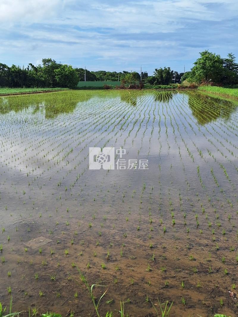 近台31縣美農地房屋室內格局與周邊環境