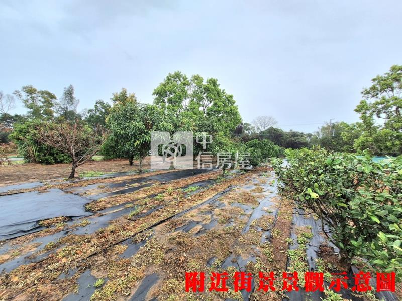綠野仙蹤度假休閒農地房屋室內格局與周邊環境