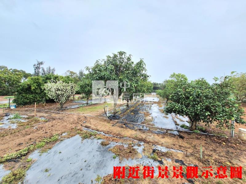 綠野仙蹤度假休閒農地房屋室內格局與周邊環境