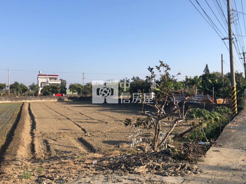 後壁區社區旁小而美特農房屋室內格局與周邊環境