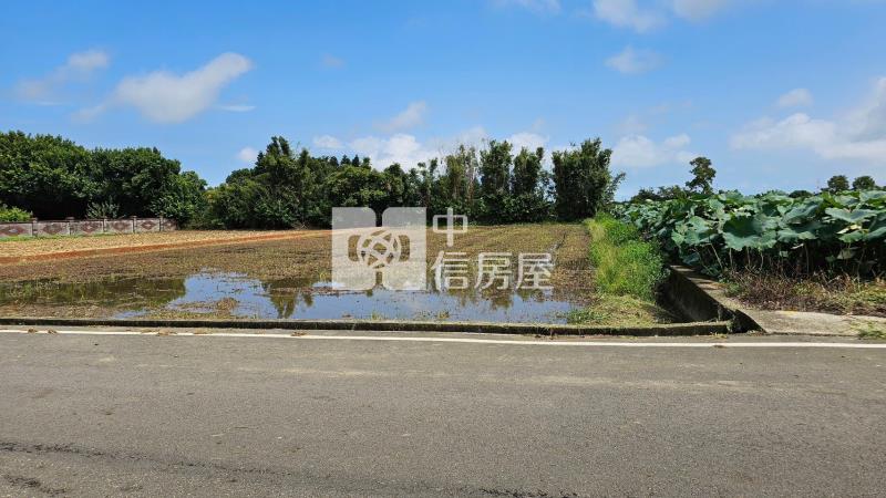 新屋笨港國小8米路農地房屋室內格局與周邊環境