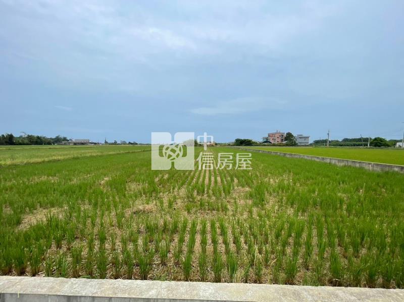 新屋大坡國小5米路投資農地房屋室內格局與周邊環境