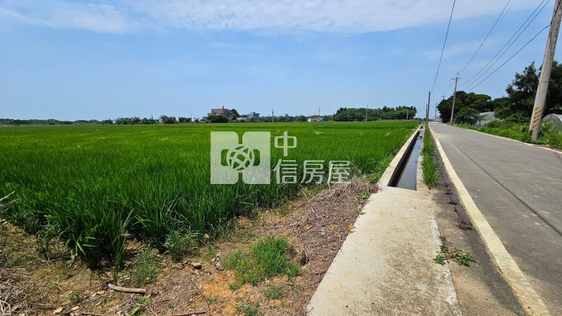 新屋大坡國小5米路投資農地房屋室內格局與周邊環境