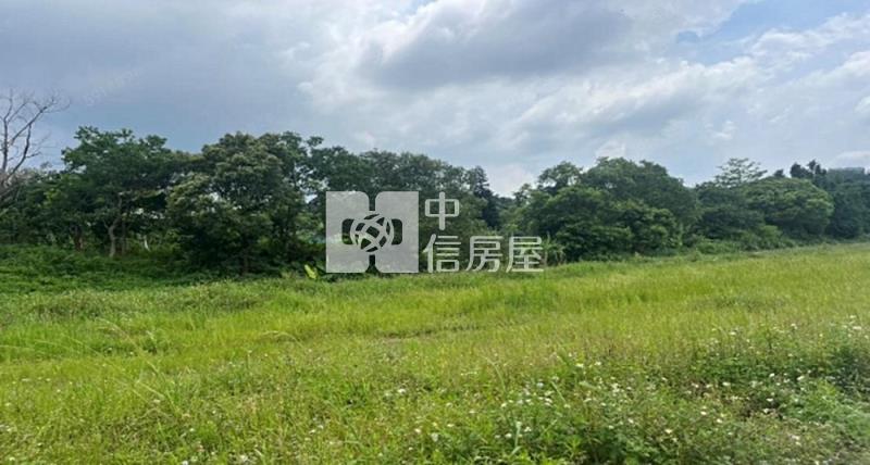 龍潭民生路近金龍路整合農地5房屋室內格局與周邊環境