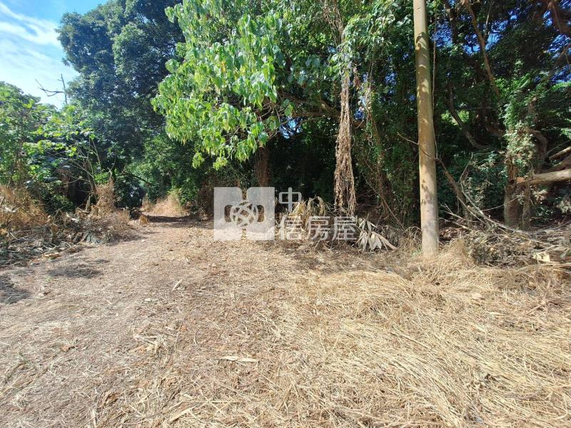 關廟大亞都內持分農地房屋室內格局與周邊環境