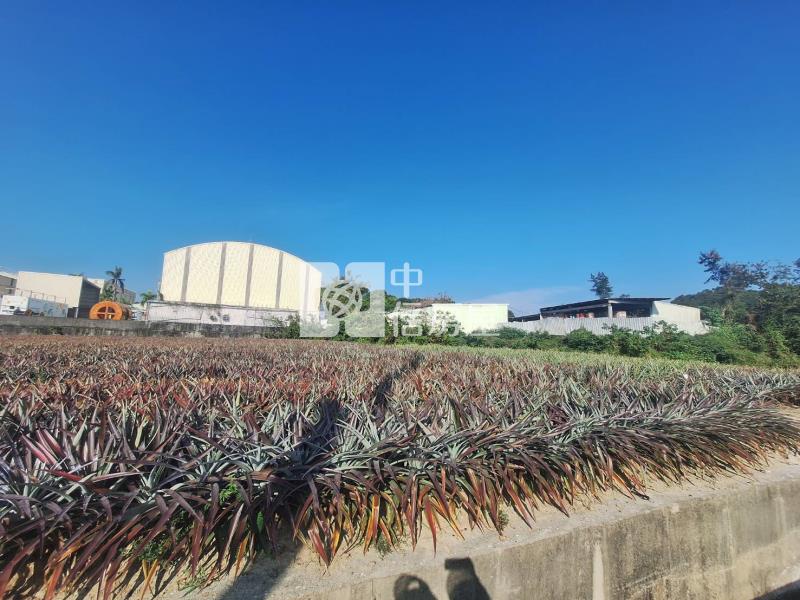 關廟大亞都內持分農地房屋室內格局與周邊環境