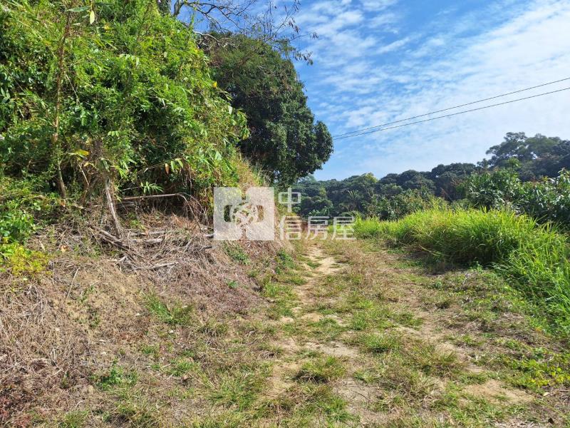 關廟大亞都內持分農地房屋室內格局與周邊環境