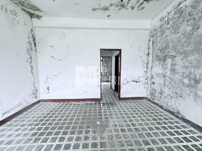 大同路自由設計透天房屋室內格局與周邊環境