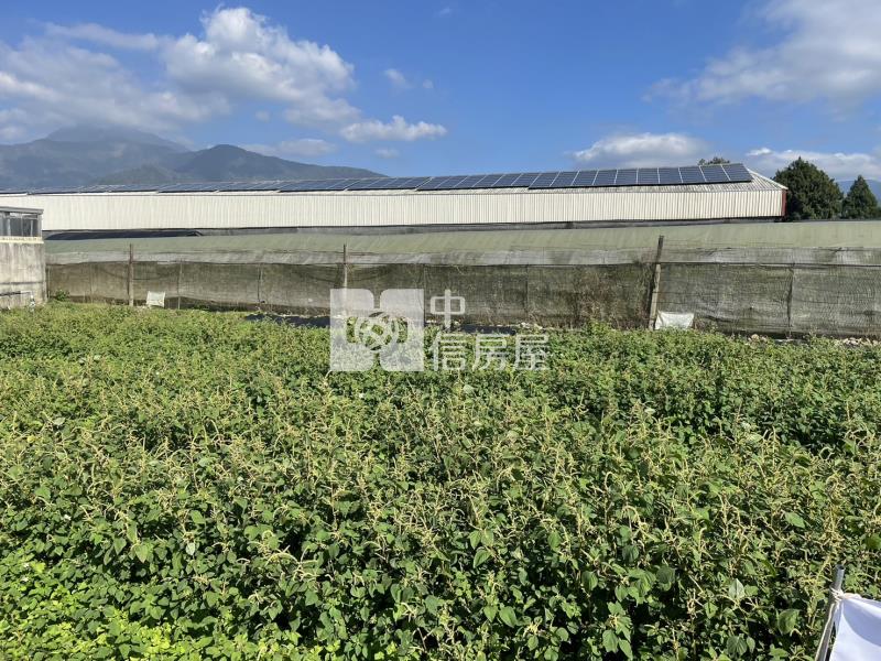 紅瓦厝美田I房屋室內格局與周邊環境
