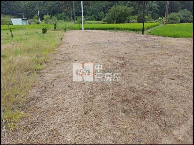 新竹市延壽段美農地#2房屋室內格局與周邊環境