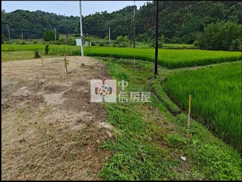 新竹市延壽段美農地#2房屋室內格局與周邊環境