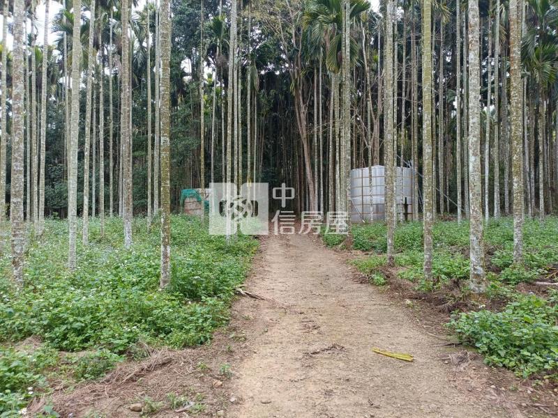 大坪美農地房屋室內格局與周邊環境