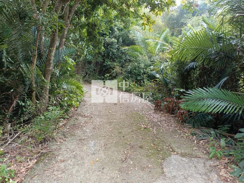 大坪美農地房屋室內格局與周邊環境