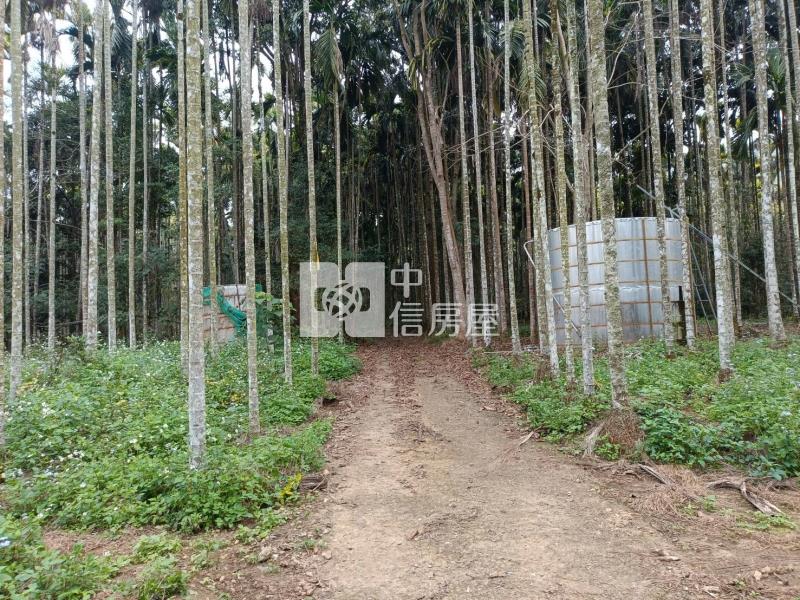 大坪美農地房屋室內格局與周邊環境