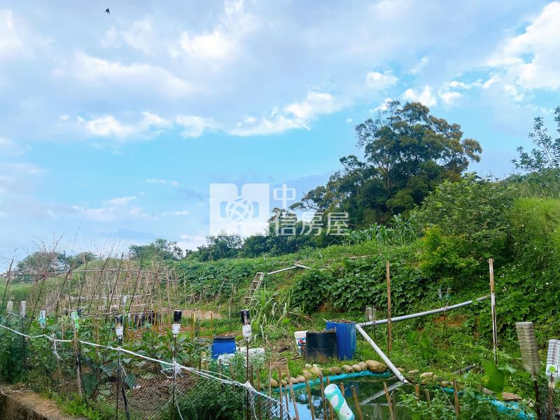 楊梅高中旁一般農+贈農舍房屋室內格局與周邊環境