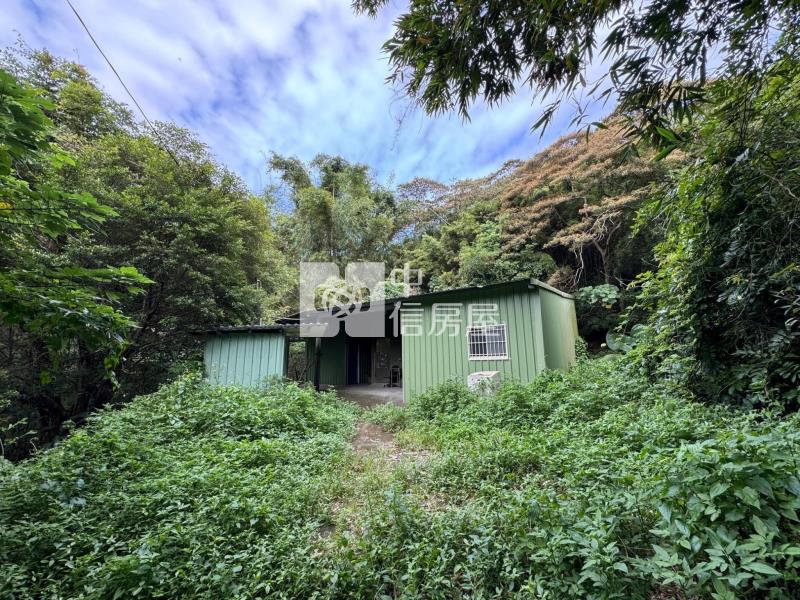 桃園家樂福旁大地坪住宅房屋室內格局與周邊環境