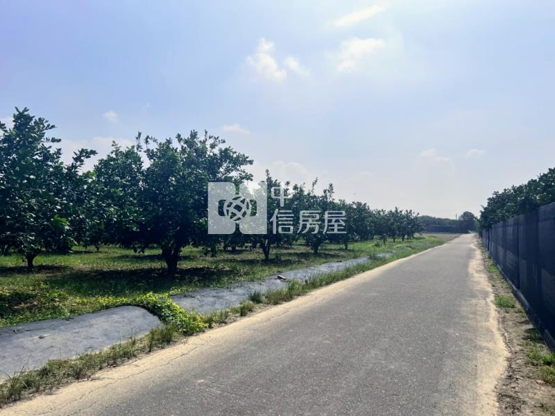 麻豆磚井段三角窗都內用地房屋室內格局與周邊環境