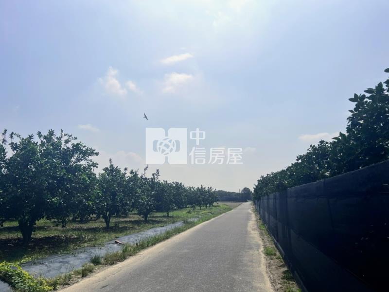 麻豆磚井段三角窗都內用地房屋室內格局與周邊環境