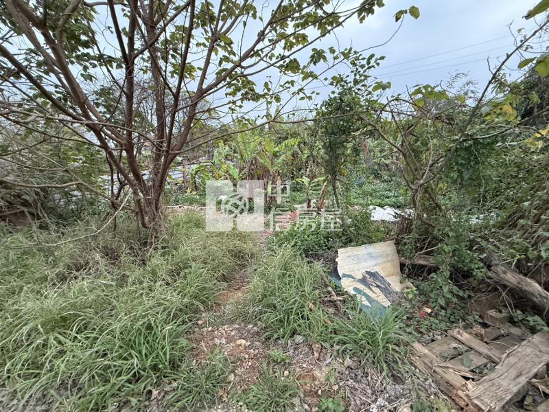忠福都內農地房屋室內格局與周邊環境