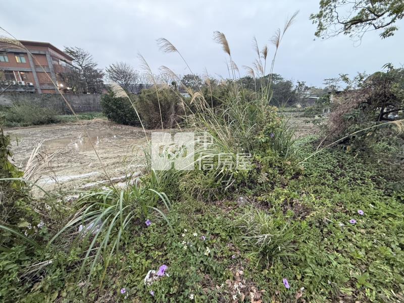 忠福都內農地房屋室內格局與周邊環境