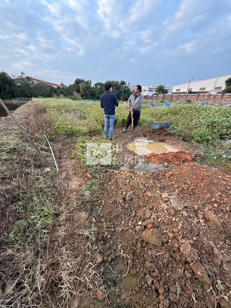 近66方正美農地[一般農]房屋室內格局與周邊環境