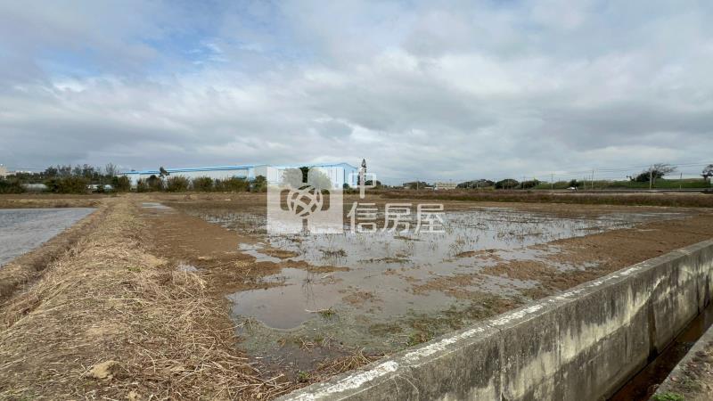 D08 新屋大坡段美農地【捷運新北園區站加盟店】房屋室內格局與周邊環境