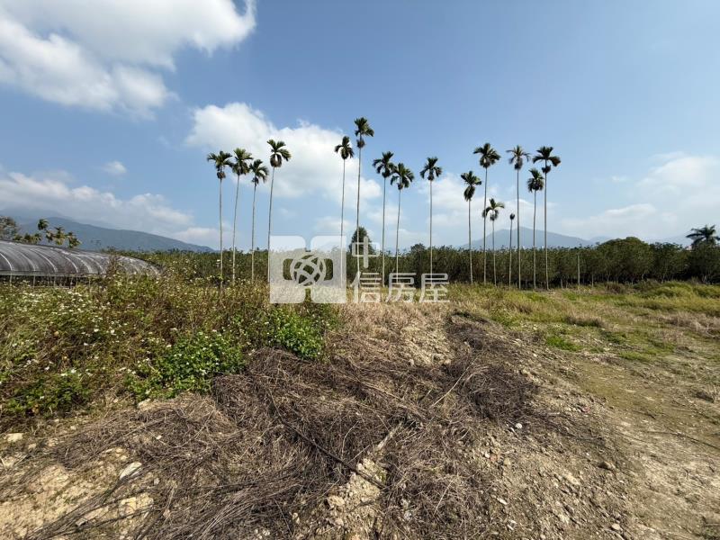 市區旁都內地房屋室內格局與周邊環境