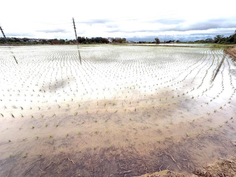 北商正福龍路旁878農地房屋室內格局與周邊環境