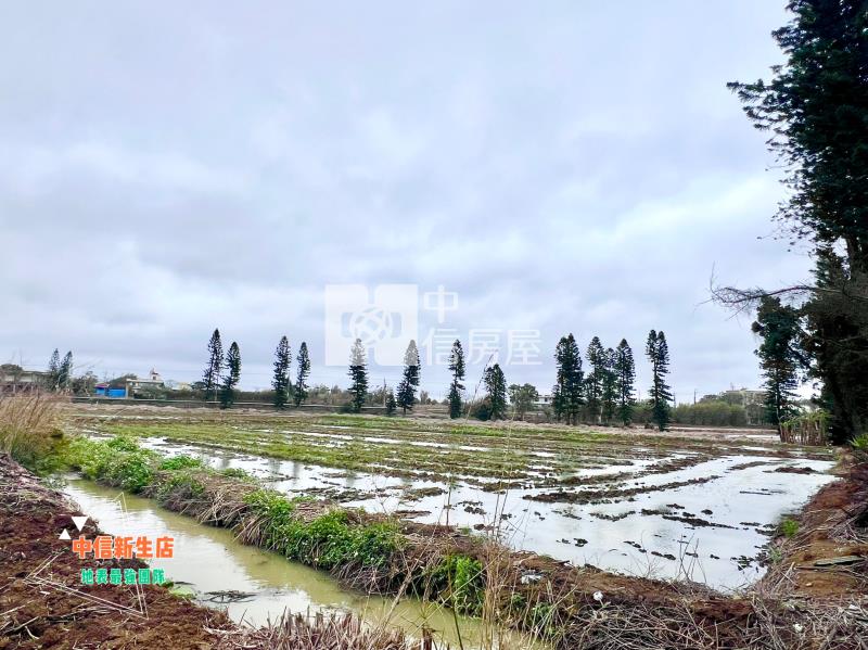 新屋台15線大坡國小上千坪美農地房屋室內格局與周邊環境