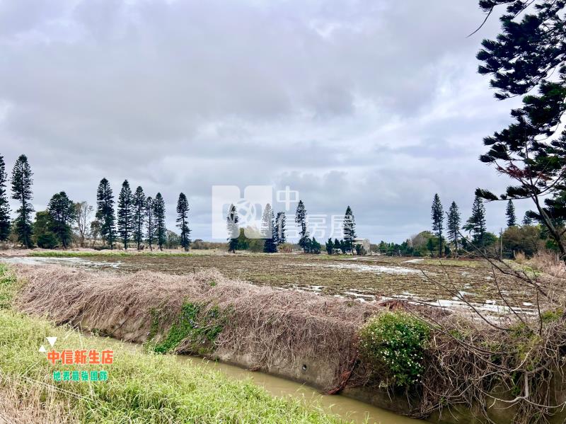 新屋台15線大坡國小上千坪美農地房屋室內格局與周邊環境