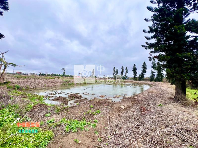 新屋台15線大坡國小上千坪美農地房屋室內格局與周邊環境