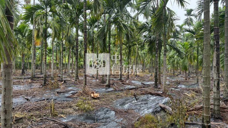 [專約]長治方正農地房屋室內格局與周邊環境