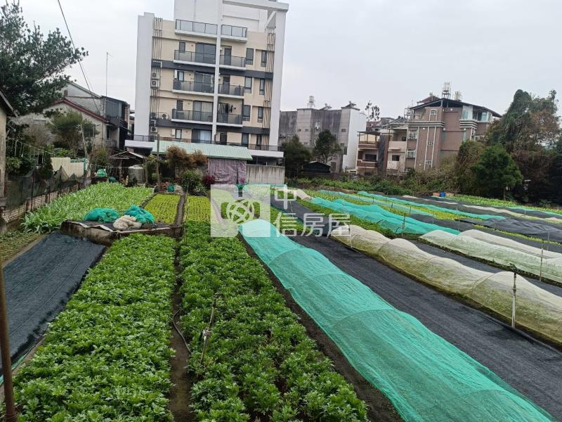 育英大建地房屋室內格局與周邊環境