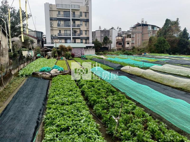 育英大建地房屋室內格局與周邊環境