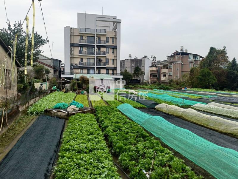 育英大建地房屋室內格局與周邊環境