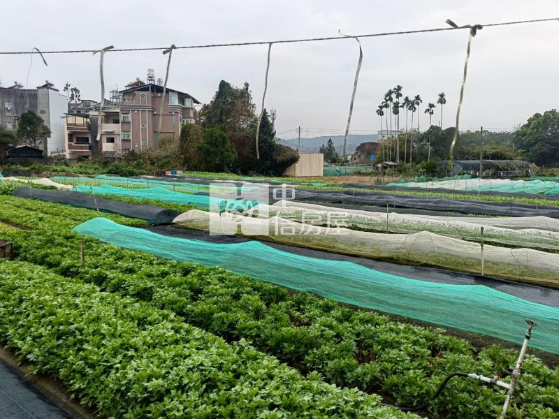 育英大建地房屋室內格局與周邊環境