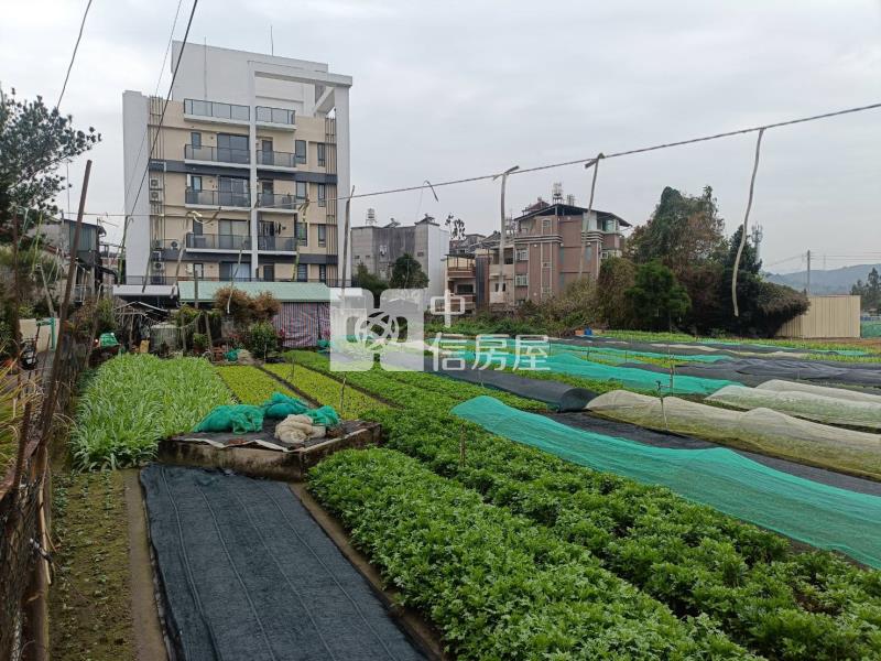 育英大建地房屋室內格局與周邊環境