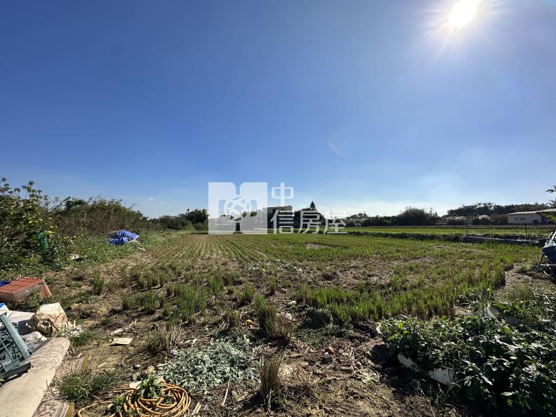 新屋美農地＋贈鐵皮屋房屋室內格局與周邊環境