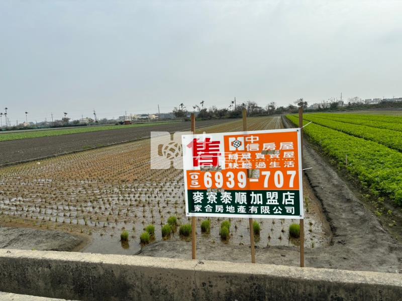 舊庄美農地2房屋室內格局與周邊環境