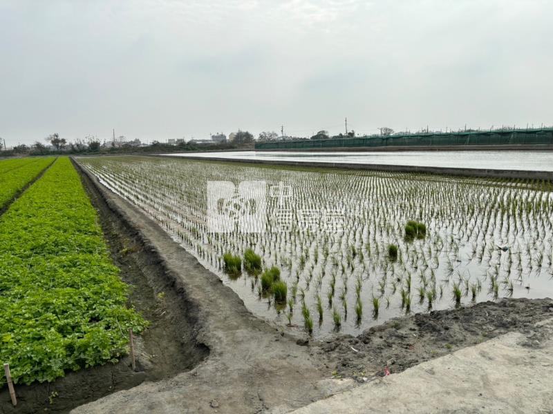 舊庄美農地1房屋室內格局與周邊環境