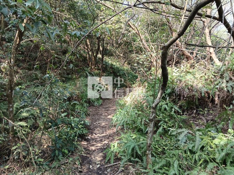 【奔馳】蘆竹保護區便宜農地668坪房屋室內格局與周邊環境