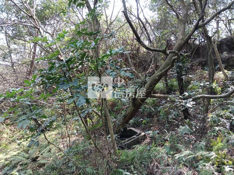 【奔馳】蘆竹保護區便宜農地668坪房屋室內格局與周邊環境