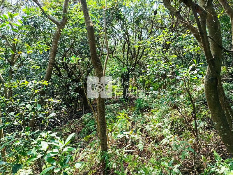 【奔馳】蘆竹保護區便宜農地668坪房屋室內格局與周邊環境