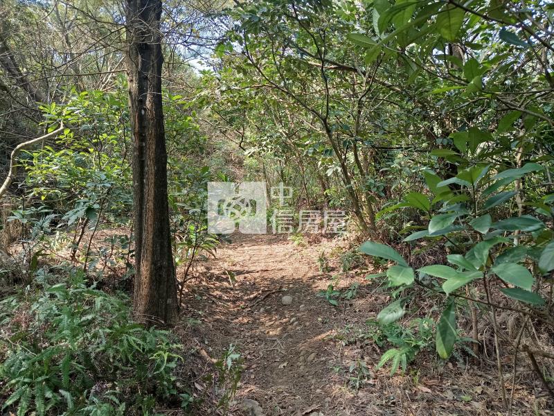 【奔馳】蘆竹保護區便宜農地668坪房屋室內格局與周邊環境