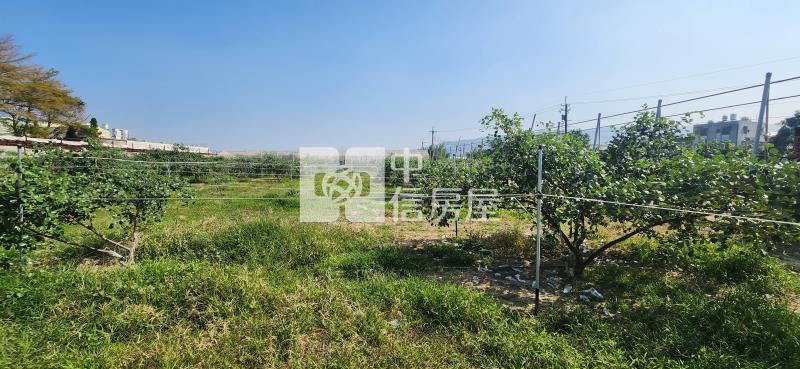 高雄土地《高雄阿蓮總裁豪邸-農地》房屋室內格局與周邊環境