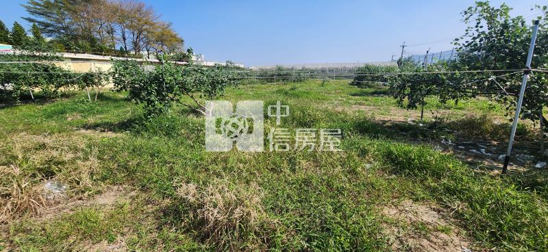 高雄土地《高雄阿蓮總裁豪邸-農地》房屋室內格局與周邊環境