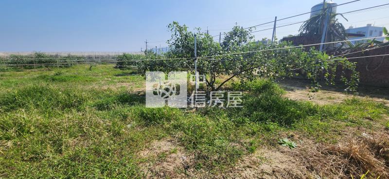 高雄土地《高雄阿蓮總裁豪邸-農地》房屋室內格局與周邊環境