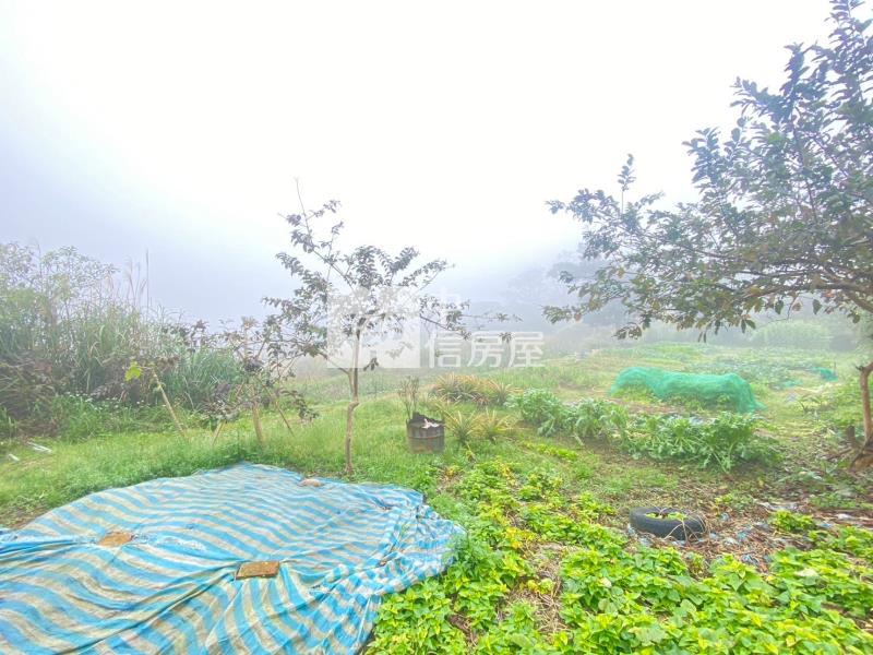 楊梅瑞坪段一般農地房屋室內格局與周邊環境