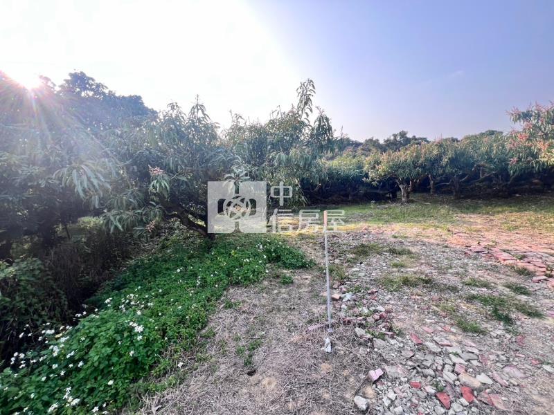 官田社子優質美農地房屋室內格局與周邊環境